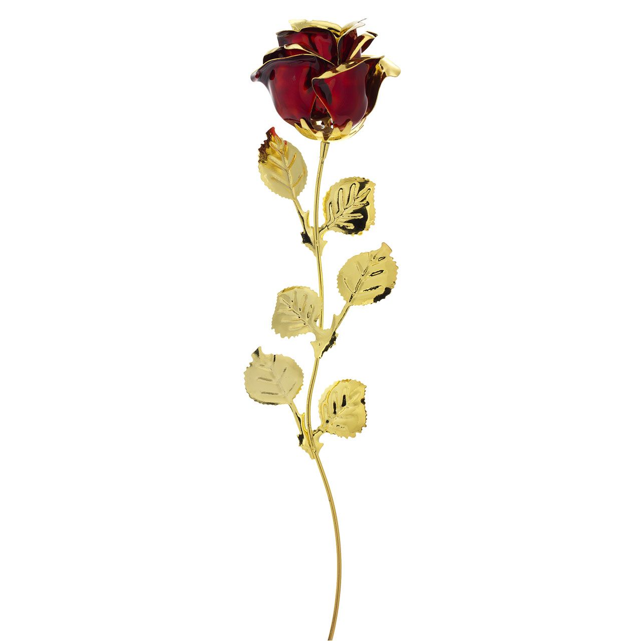 3x ROSA CM 39 - DORATA BORDEAUX (WITHOUT PACK)
